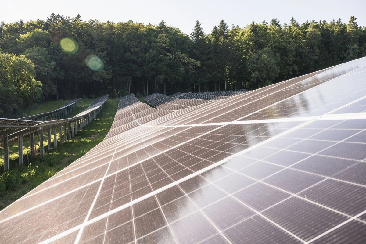 Wir blicken von der Seite auf die PV-Paneele in Lödersdorf. Wir sehen wir sich die Sonne darin spiegelt und den Wald im Hintergrund.